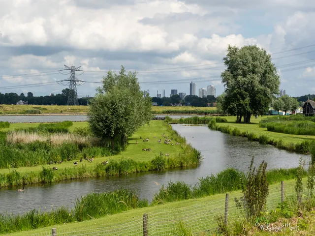 hoekse waard 6190136