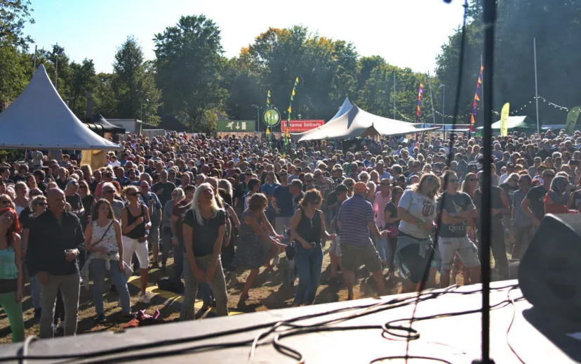 hoge bomen festival 0019 915x518 1