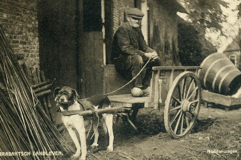 hondenkar dikmans nieuwkuijk 1918