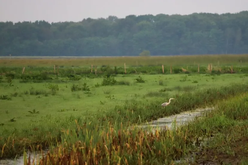 img 0503 medium 1024x723