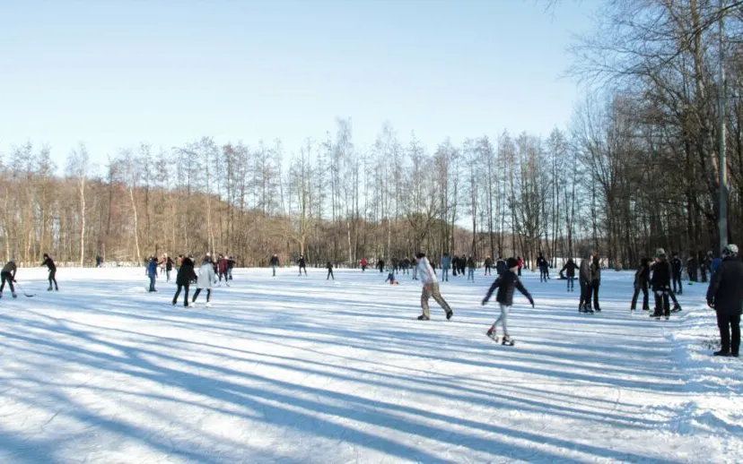 img 1371 groot 915x518 1