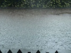 img 1747 medium 300x225 1