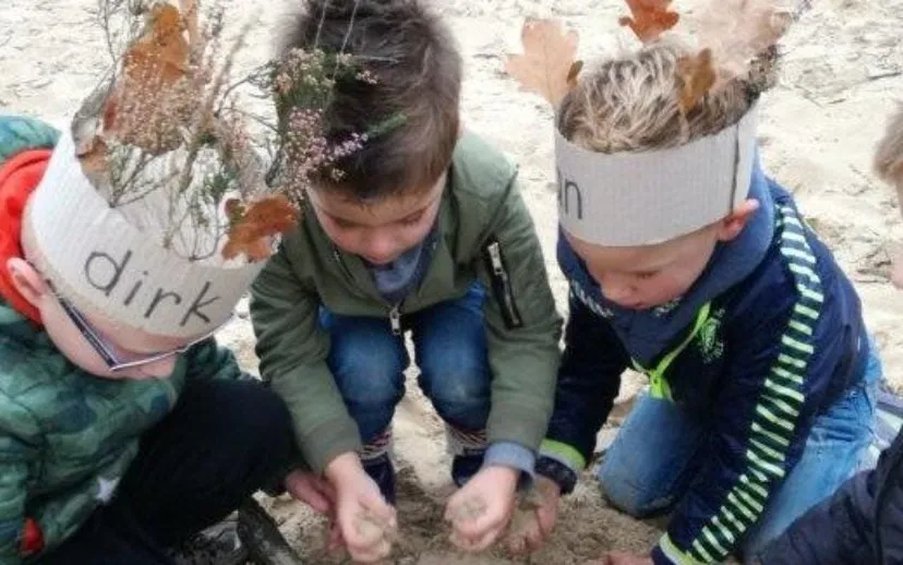 img 20171025 111427 915x518