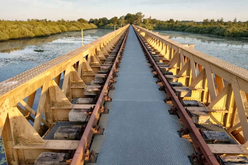 img 20200602 060650001 hdr medium