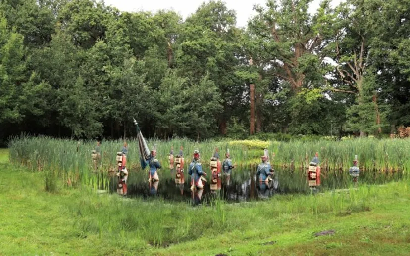 img 3981 large 1024x572 1 915x518 1