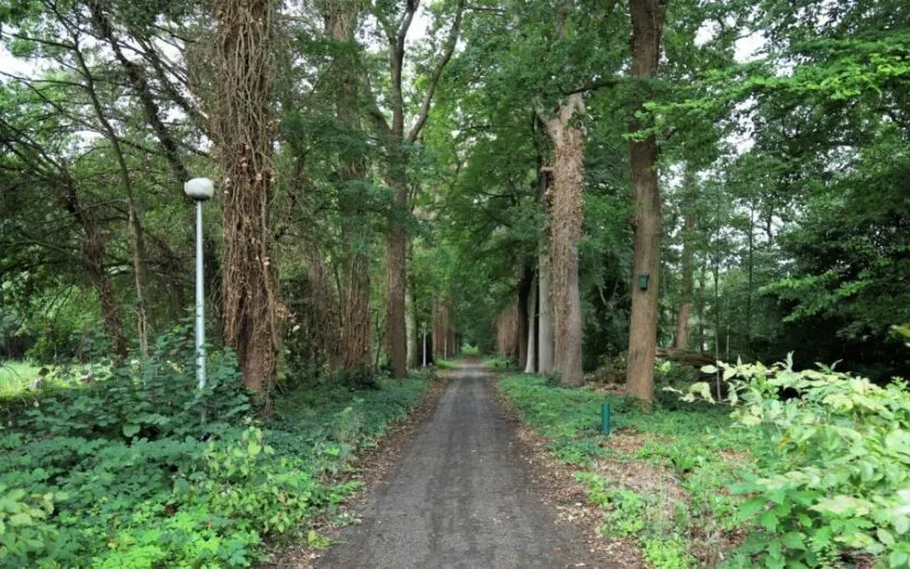 img 3999 large 1024x562 1 915x518 1