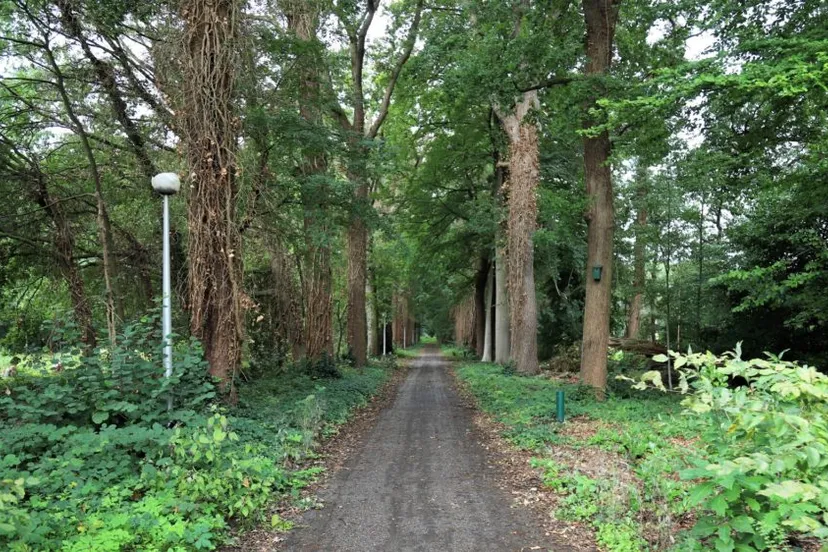 img 3999 large 1024x562 1