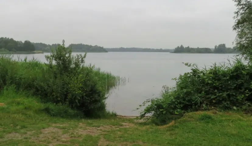 img 4172 groot 1024x482 1