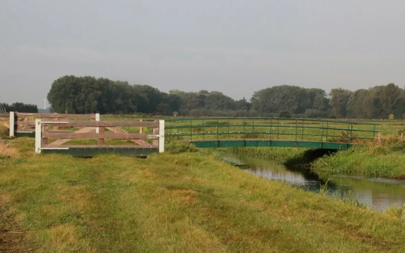 img 5043 groot 915x518 1