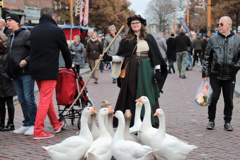 img 5284 medium 1024x683 1