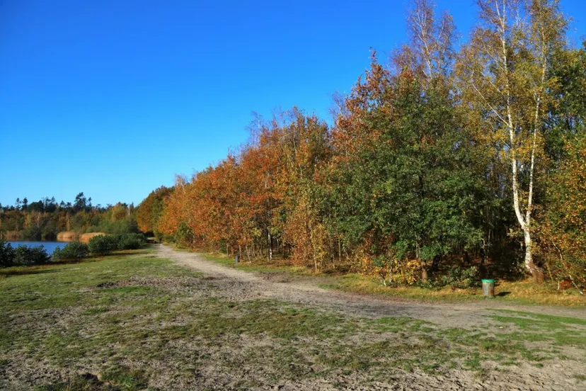 img 6802 groot 1024x683 1