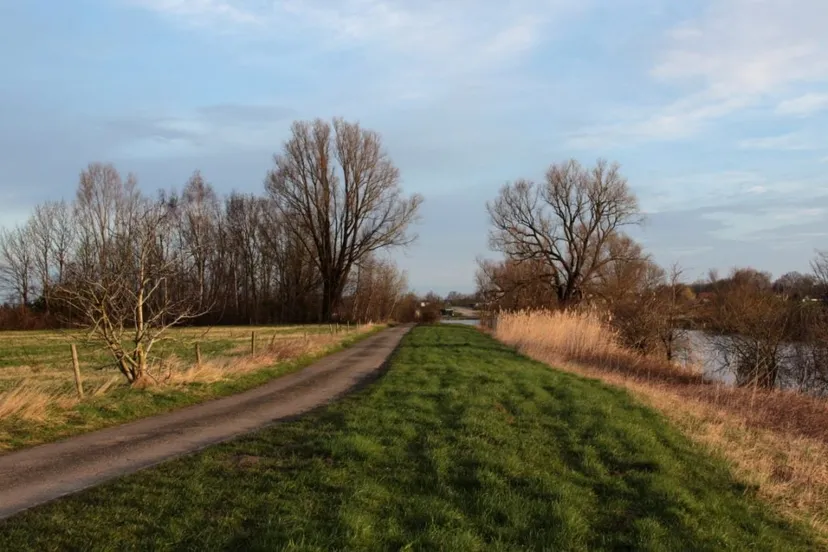 img 9683 medium 1024x683