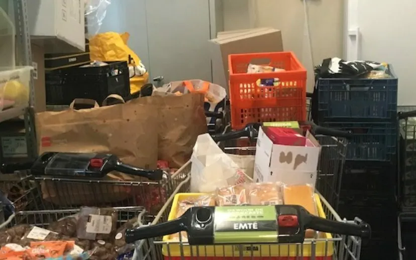 img 9972 915x518 1 915x518 1