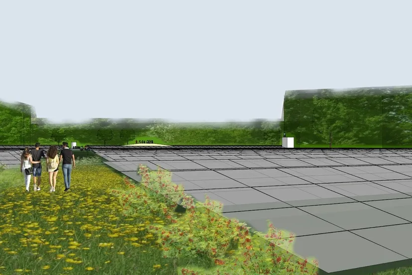 impressie zonneveld 002