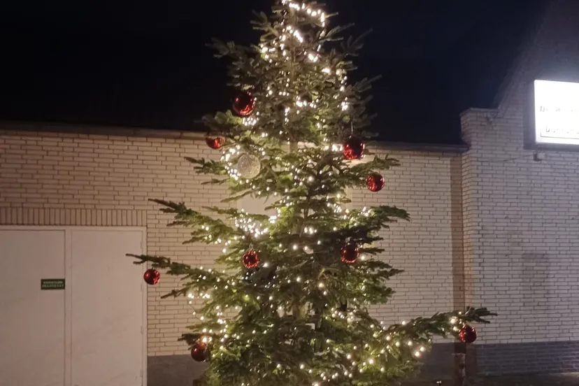 kerstboom 2021 1