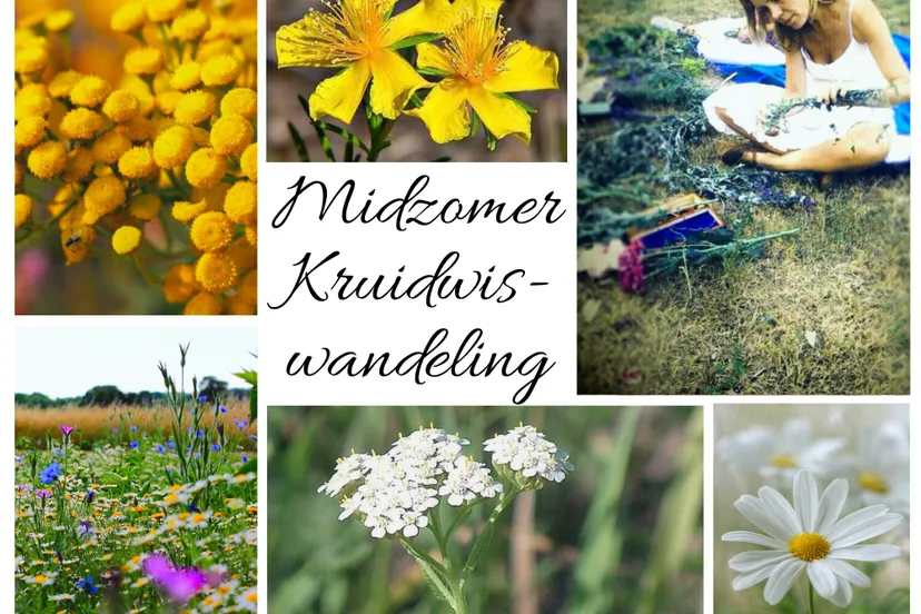 kopie van beige minimalist photo collage 20240520 125205 0000 002