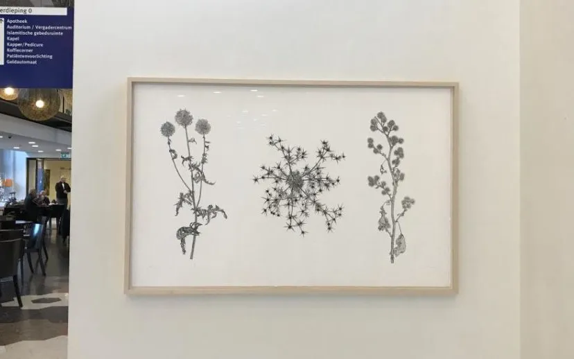 kunst distels ets paul van dongen 2019 915x518