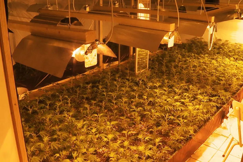 kykf2oxc4dgi30said9ztrbfb ww140519hennep novum