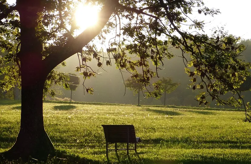 landscape 4337228 960 720