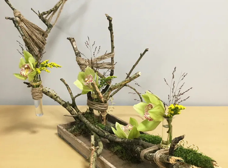 les creatief vlechten tussen takken