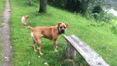 lgtt63970lq101mulnugv1cx8 10477389713898675349969518014622395901277n