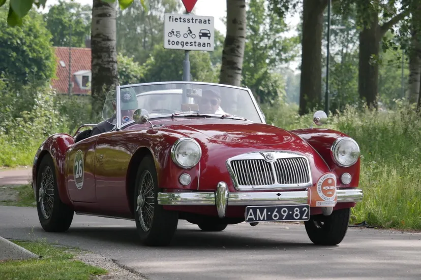 lions rally persfoto 2019