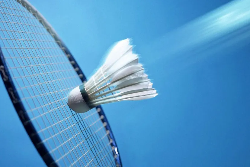 lpebk4y4u1v0czfubcexlat8d ww badminton