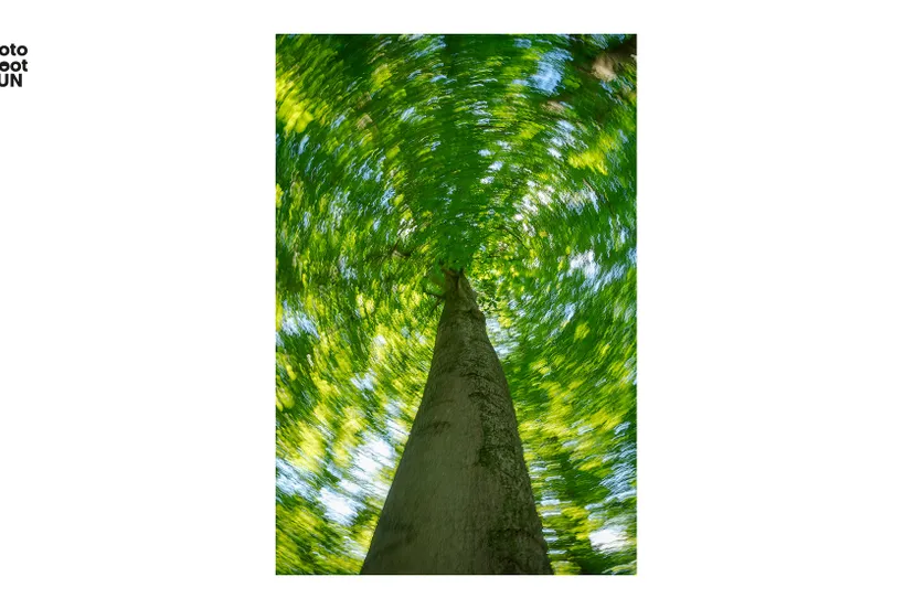 maandfoto hn icm ruud engels