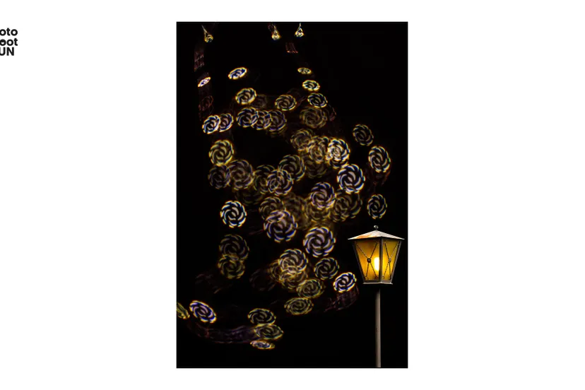 maandfoto hn nieuwsbericht marion willems