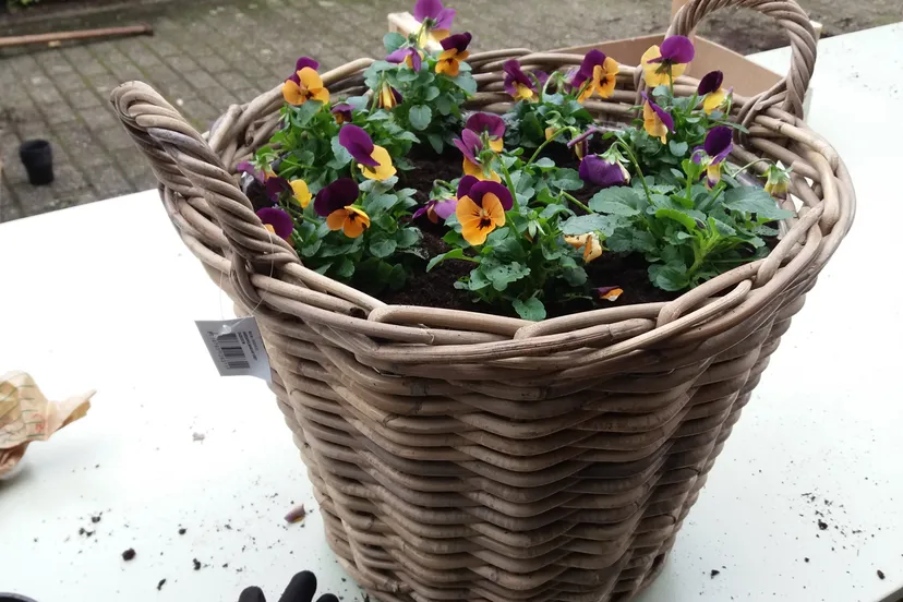 mand klaar 20161022 110137