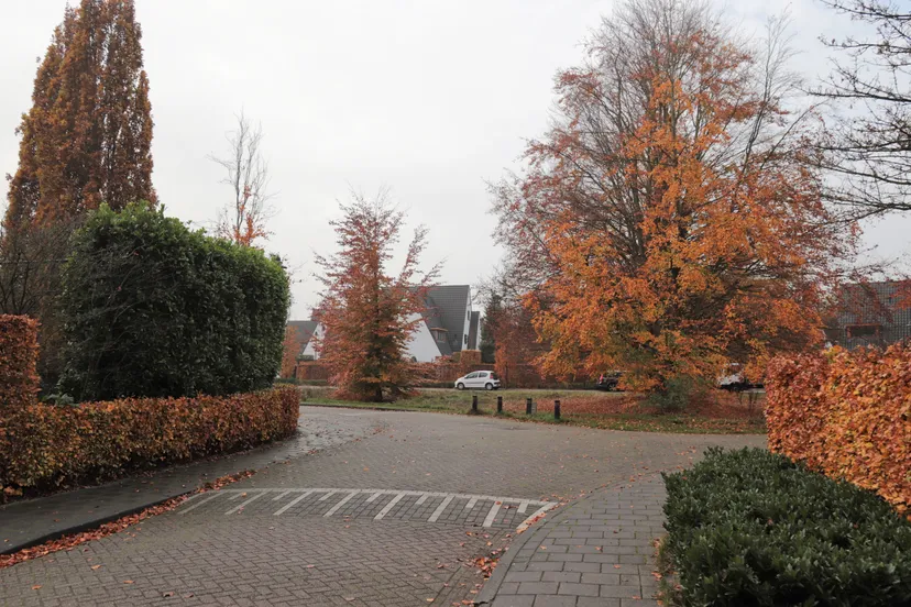 meliestraat meliepark