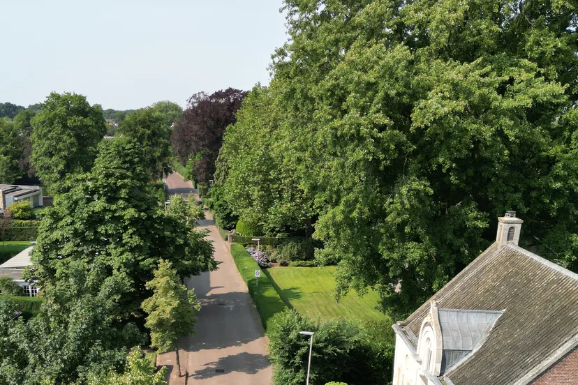 monumentale bomen aan de meliestraat 1