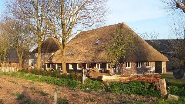 ob5jv0hzjo47gs01oozswjm0r zorg