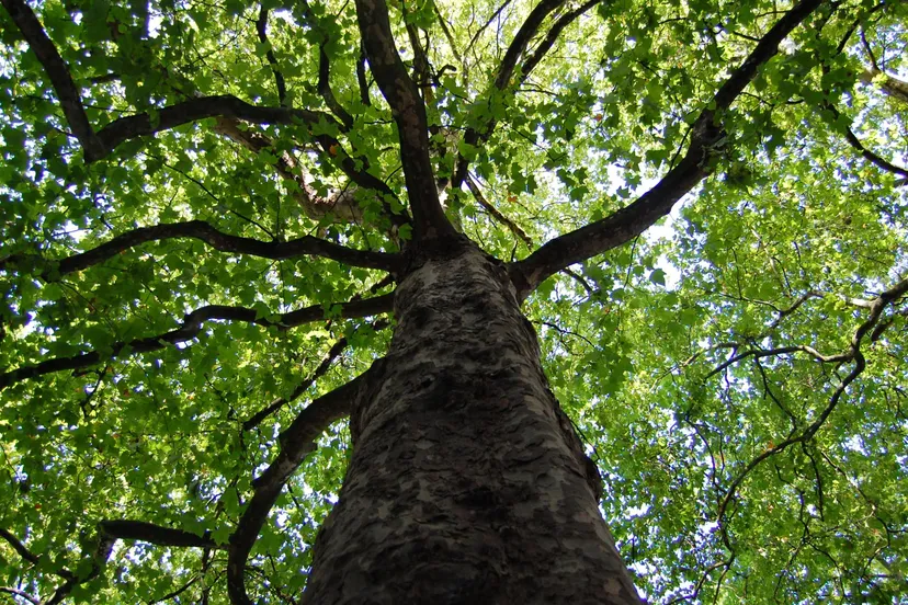 p53f5qgqs2tx0b72zjgs4etrk boom