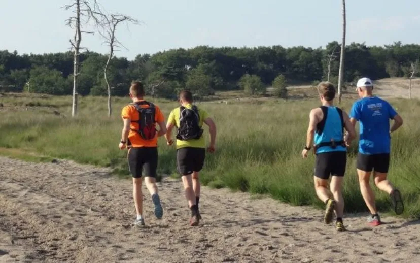 pa3zrrvdcmjq5q1fulfdey0vn ww140819 dak 715x408 915x518 1