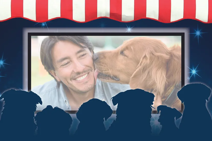 pers dierendag2019 ac 1