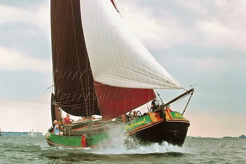 pieternel top horizontaal