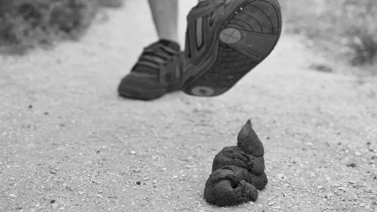 poep aan je schoen1 2