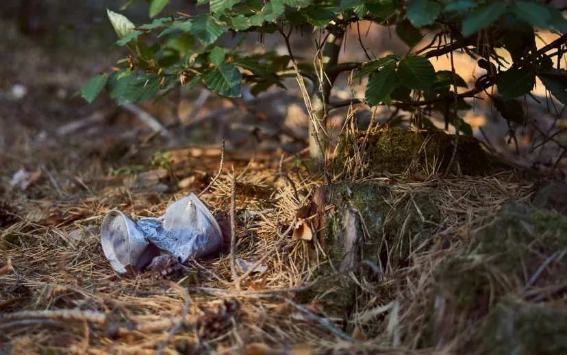 pollution 3714969 1280 915x518 1