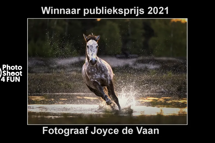 publieksprijs