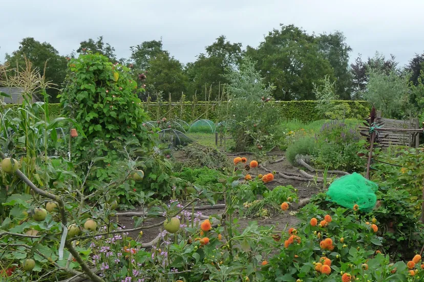 pzchv6r032quh4hu2ely42s1p cursus ecologisch tuinierenp1050234