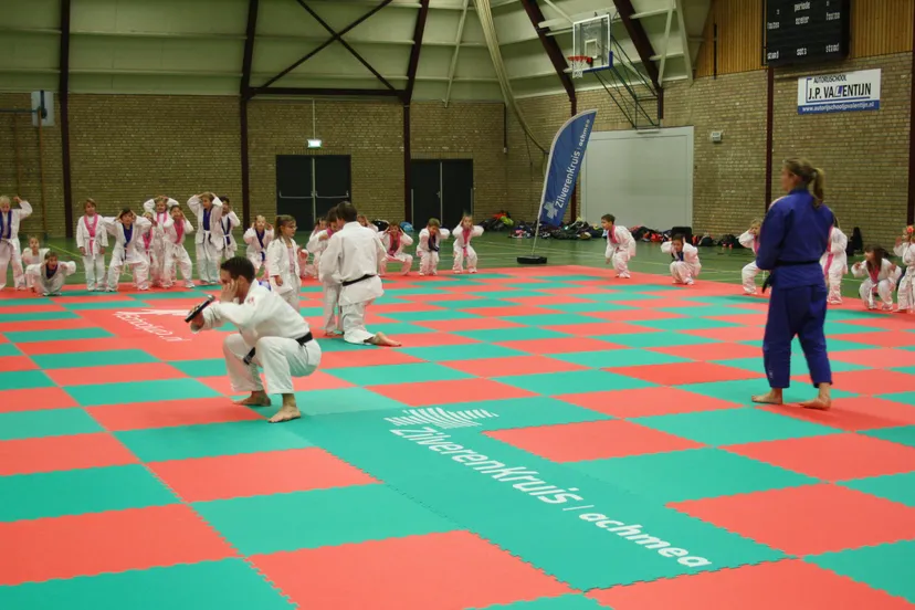 qzsjc07t2vtf950c41t7zoaja img4218