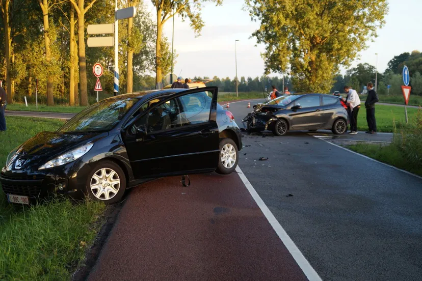 raupw4pro05h8qw1sjkuq5v3g dsc07892