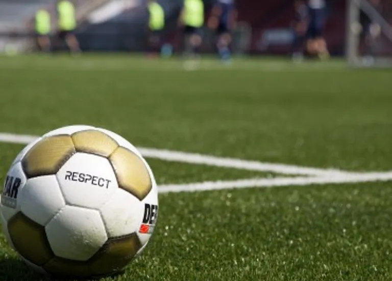 reumafonds2 370x2792