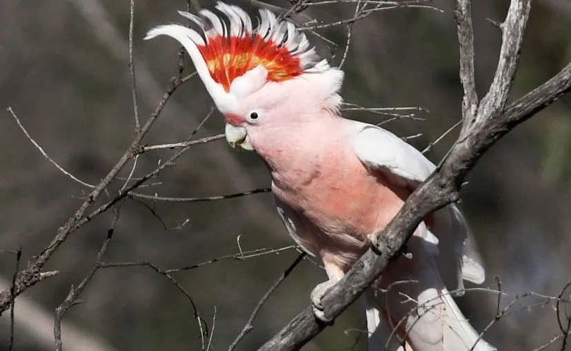 s0zn6rscz7qunb7z2ptbc3lrn incakaketoe