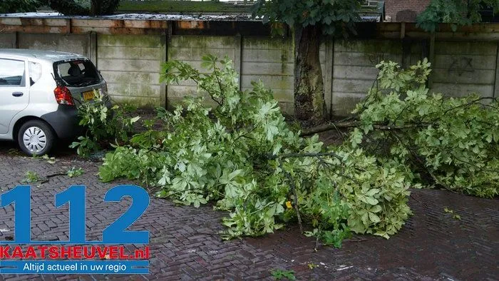 s111nsir764q6e0onbbjlg4sp ww 140809tak