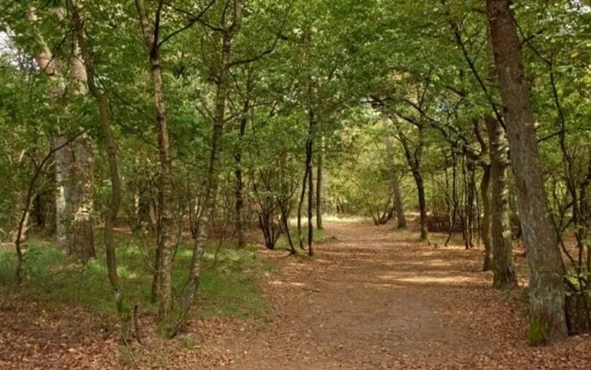 seniorenschool 915x518 1