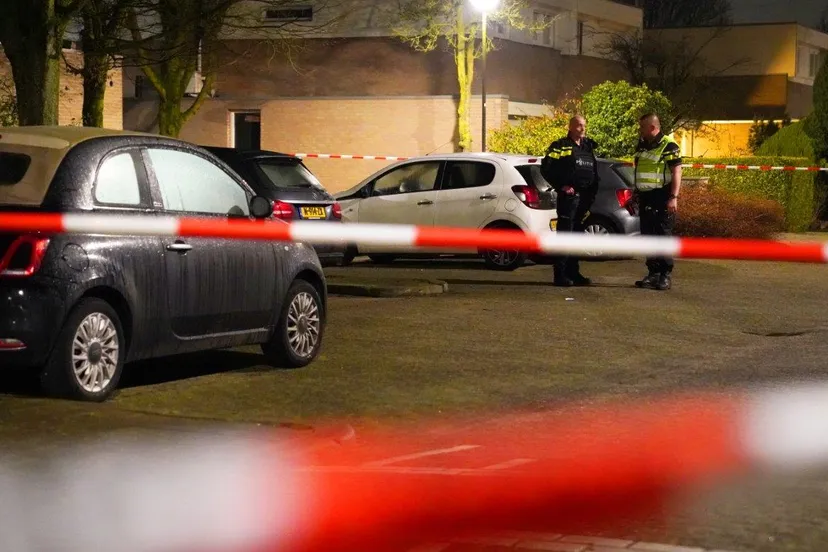 steekpartij dne bosch 1