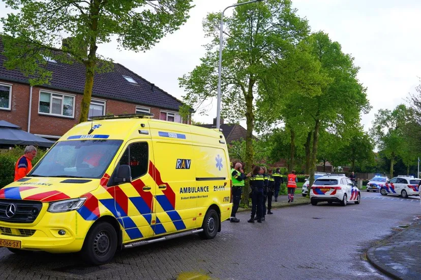 steekpartij vlijmen 2