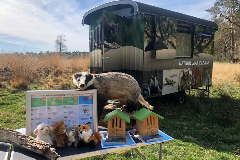 stuif es in wagen voorkant